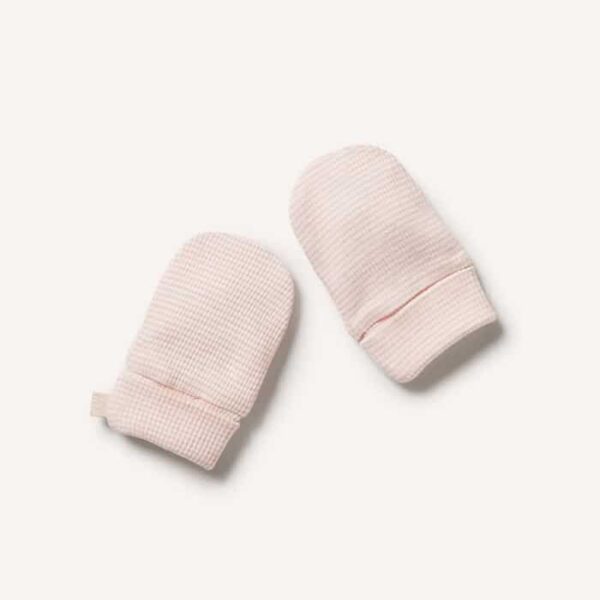 w bcs accessories 7 1.jpg
